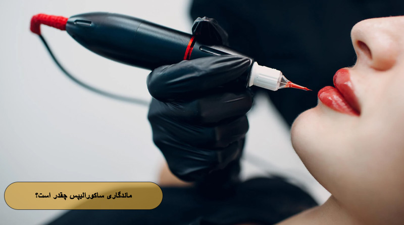 ماندگاری ساکورالیپس چقدر است؟