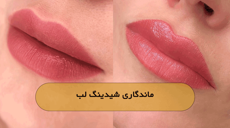 ماندگاری شیدینگ لب