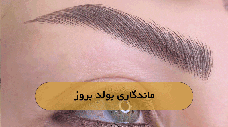 ماندگاری بولد بروز