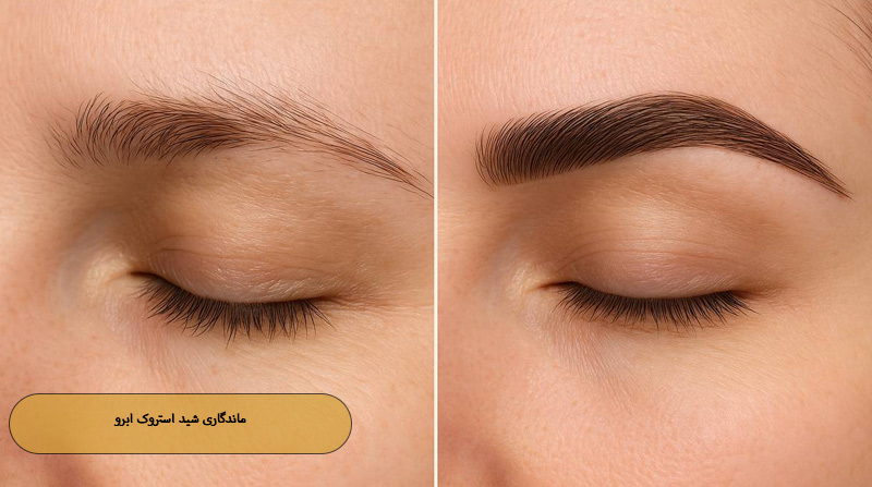 ماندگاری شید استروک ابرو