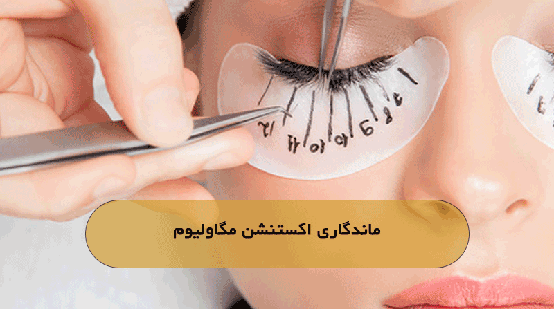 ماندگاری اکستنشن مگاولیوم