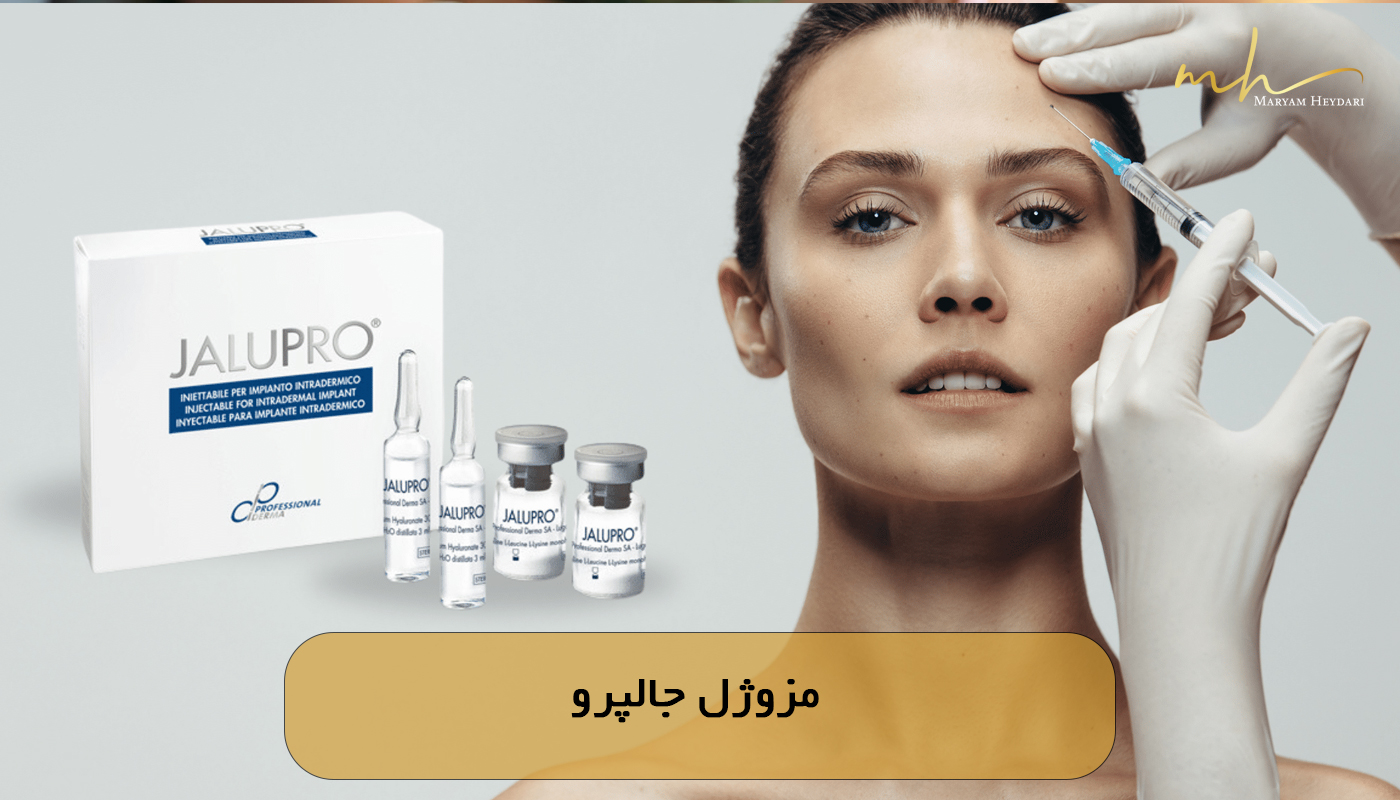 مزوژل جالپرو