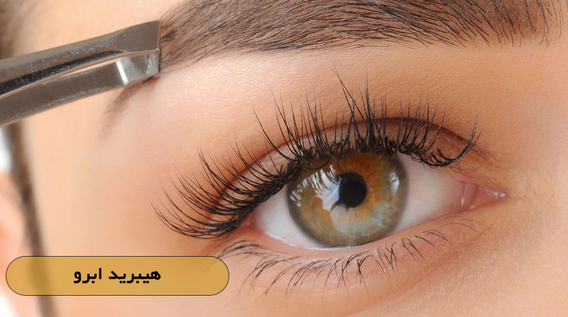 هیبرید ابرو