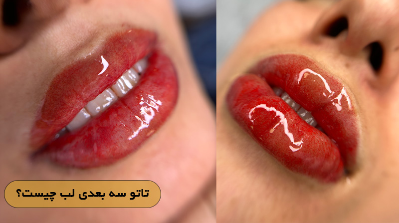 تاتو سه بعدی لب چیست؟