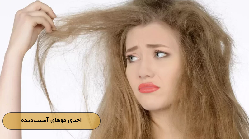 احیای موهای آسیب‌دیده